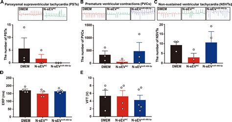 Small Extracellular Vesicles Containing Mir 486 5p Promote Angiogenesis After Myocardial