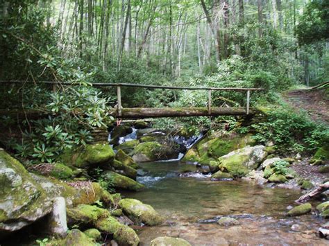 Fly Fishing In Gatlinburg Tennessee Hookers Fly Shop And Guide