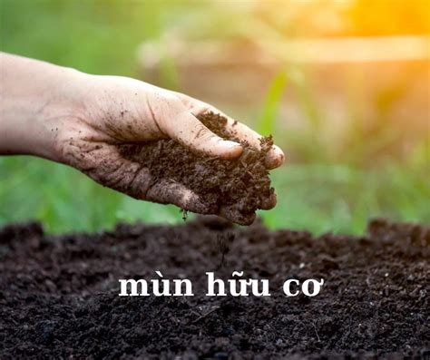 Axit Humic L G C Ng D Ng C A Axit Humic