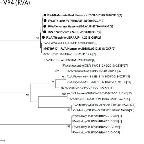 Phylogenetic Tree Based On Sequence Alignment Of The Pbv Rdrp Gene The