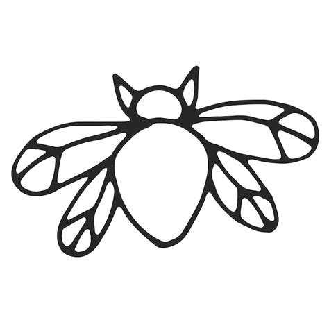 Premium Vector | Beetle with wings simple line drawing black outline ...