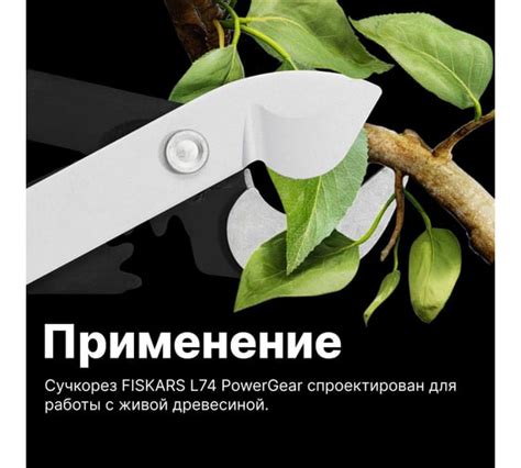 Садовый сучкорез: купить телескопический, штанговый по доступной цене ...