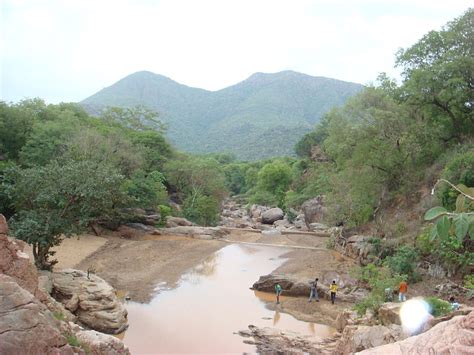 Tamilnadu tourism: Javadi Hills