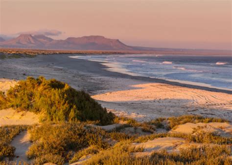 Las 5 mejores playas de Baja California que debes visitar Guía Playas