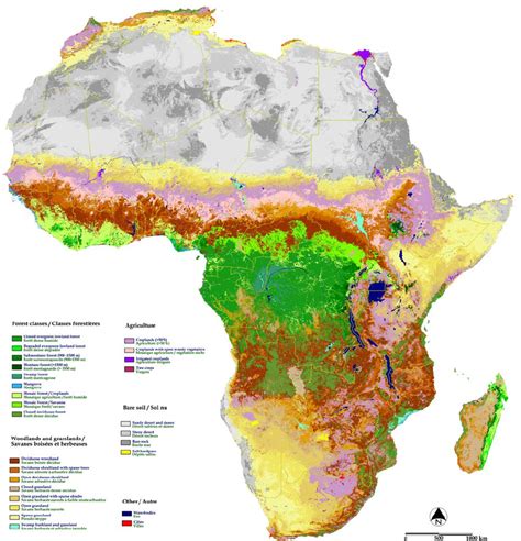 Land-cover map of Africa for the year 2000 derived from SPOT VEGETATION ...