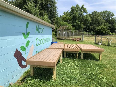 Akron Cooperative Farms // ART x LOVE