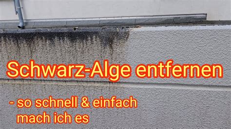 Schwarzalgen Von Haus Fassade Und Garage Entfernen So Schnell