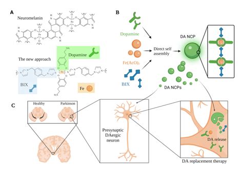 A Schematic Representation For A Da Replacement Approach Inspired By Download Scientific