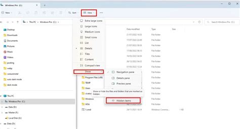 Cara Menampilkan File Dan Folder Tersembunyi Di File Explorer Windows 11