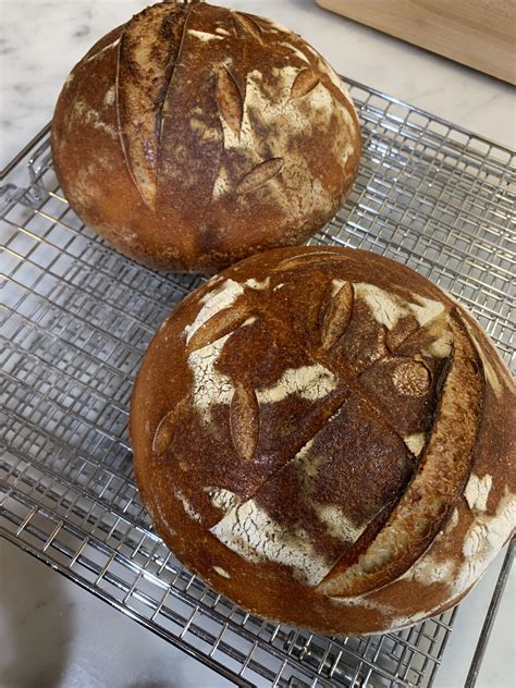 Todays Bake Plain Sourdough Rsourdough