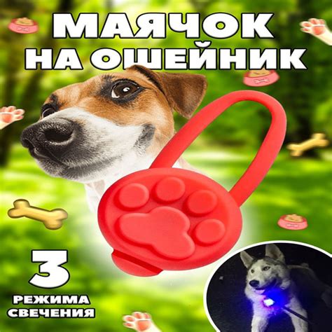 Светящийся брелок на ошейник для собак купить на OZON по низкой цене ...