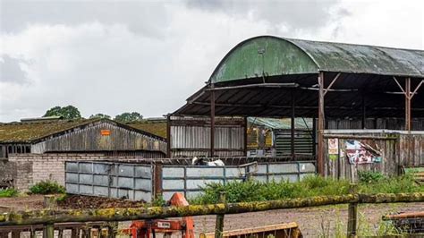 Liam Brown Man Caught Having Sex With A Cow News Au Australias Leading News Site For