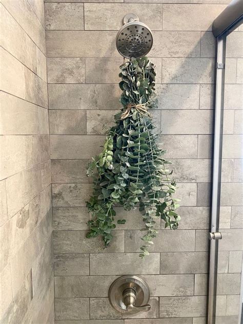 Shower Eucalyptus Artofit