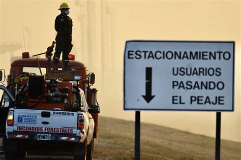 El Fuego Arrasó 300 Mil Hectáreas Y Devastó A Fauna Y Flora De Los