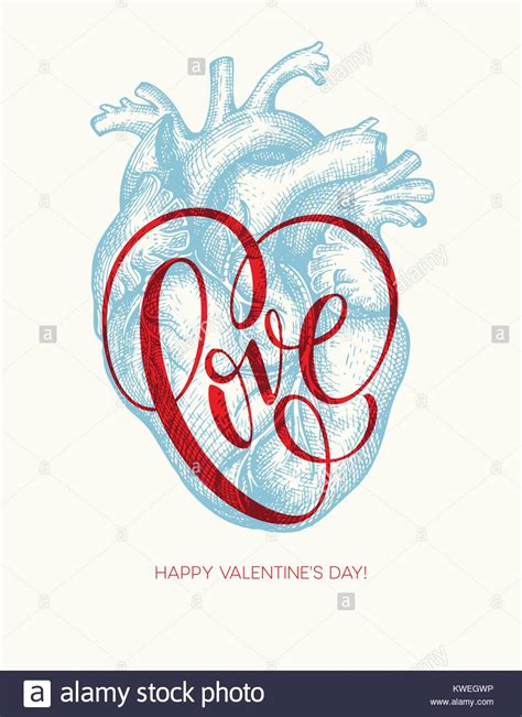 Valentines Day Card With Human Heart And Love Lettering Vector Illustration Stock Vector Image