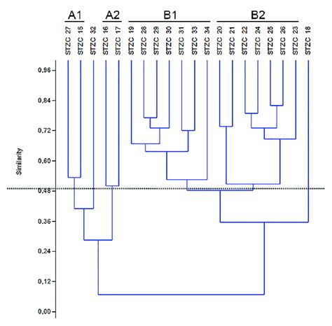 Dendrogram Based On Cluster Analyses Of Benthic Foraminifer Abundance