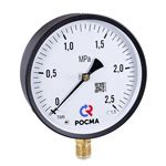 ТМ-610: Манометр показывающий РОСМА.