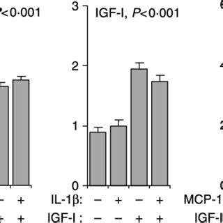 Effect Of Inflammation Related Proteins On H Thymidine