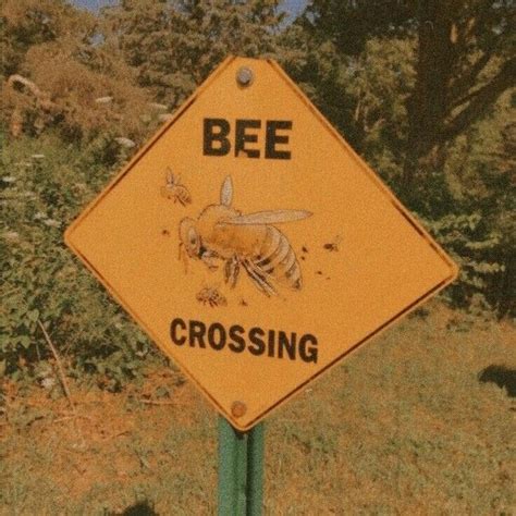 A Yellow Bee Crossing Sign Sitting On Top Of A Lush Green Field Next To