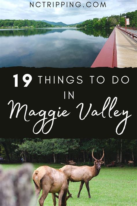 20 Amazing Things To Do In Maggie Valley And Nearby Artofit