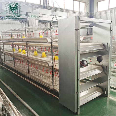 Hot DIP Galvanized Automatic Rearing System H Type Battery Brooder