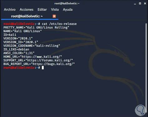 How To Update Kali Linux Gertboss