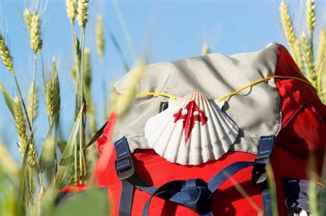 Premium Photo Camino De Santiago Scallop Shell On Backpack In Wheat