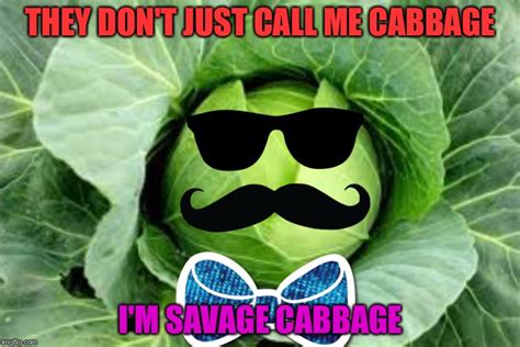 Cabbage Imgflip