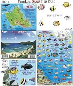 Amazon Franko Maps Oahu Reef Creatures Fish ID For Scuba Divers