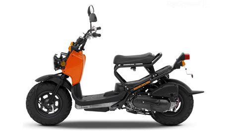 Honda Ruckus 2011 Amazing Photo Gallery Some Information And