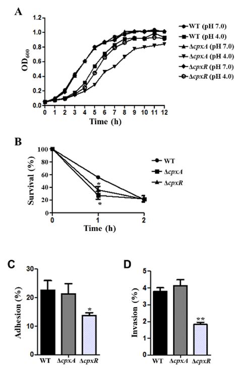 The Function Of CpxAR In Acid Resistance And Virulence Of S Derby A