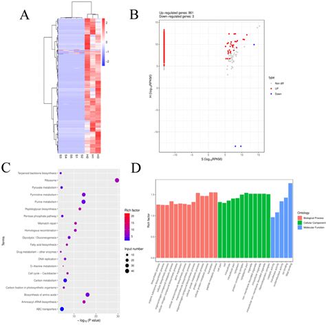 Uid Dual Transcriptome Sequencing Analysis Of The Molecular