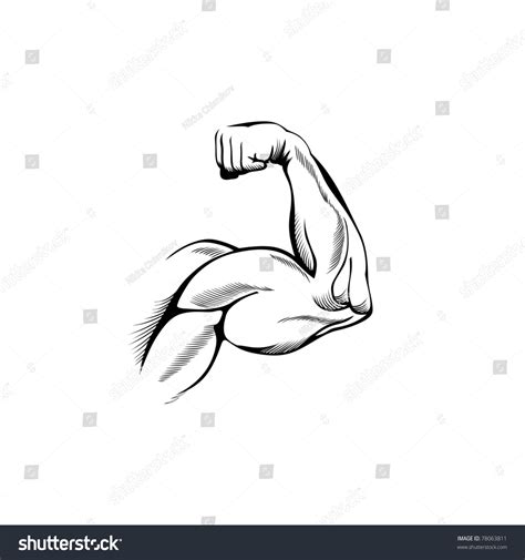 drawing of a muscular arm 2