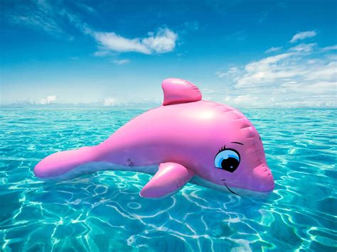 pink dolphin | Awesome Wallpapers