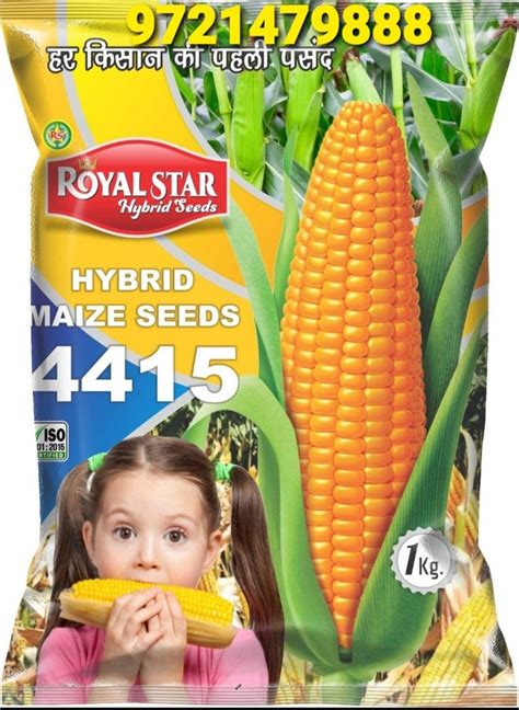 Natural Green Hybrid Maize Seeds Packaging Type Pouch Packaging Size