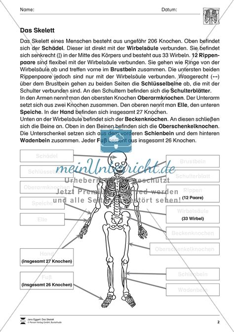 Körper Und Gesundheit Aufgaben Lesetext Lückentext Meinunterricht