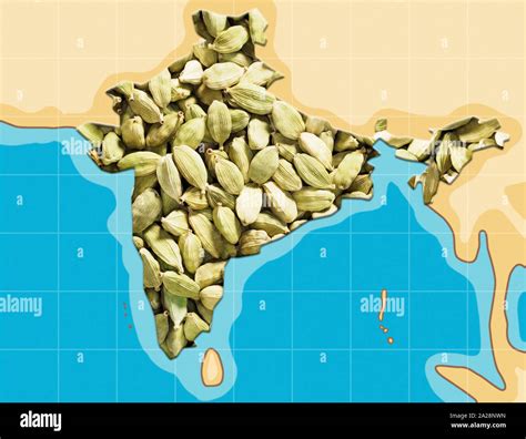 Cardamom Hills In India Map