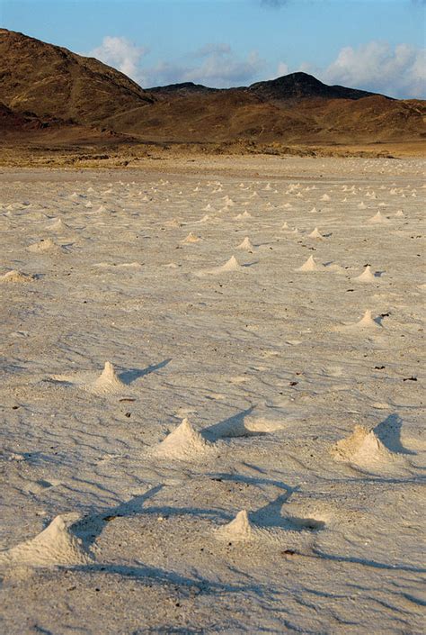 Ghost Crab Burrows Photograph by Diccon Alexander