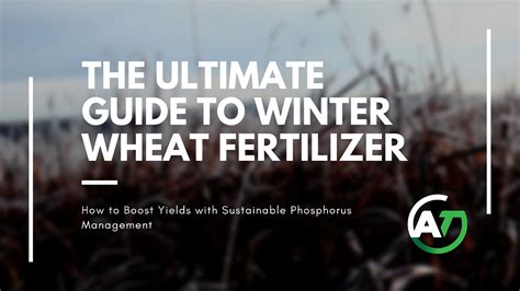 The Ultimate Guide to Winter Wheat Fertilizer: Boost Yields with ...