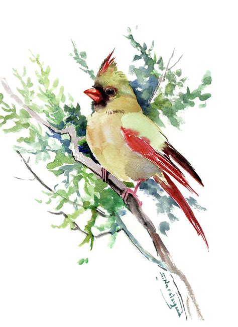 Cardinal Bird Painting By Suren Nersisyan Pixels