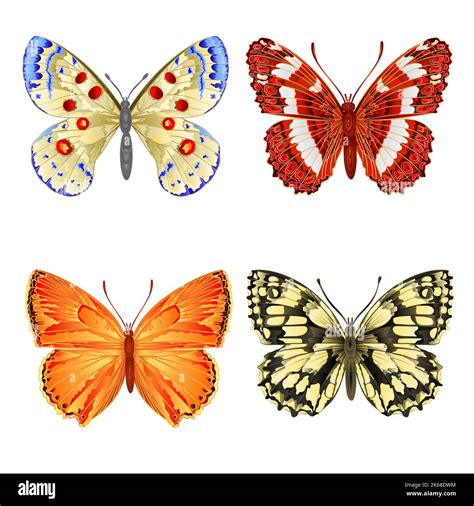 Vectores De Mariposas Vectores Fotografías E Imágenes De Alta