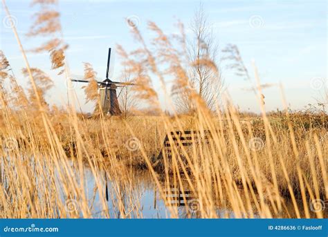 Nederlandse cultuur stock foto. Image of rivier, nederland - 4286636