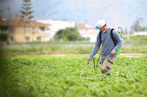 The Best Organic Weed Killer to Destroy the Annoying Weeds - Plant And ...