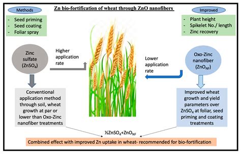 Agronomy Free Full Text Seed Primed And Foliar Oxozinc Nanofiber