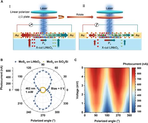 Broadband Polarization Sensitive And Self Powered High Performance