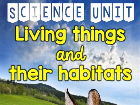 Living things and their habitats | Teaching Resources