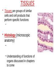 Understanding Tissues: Functions, Structure, and Classification ...