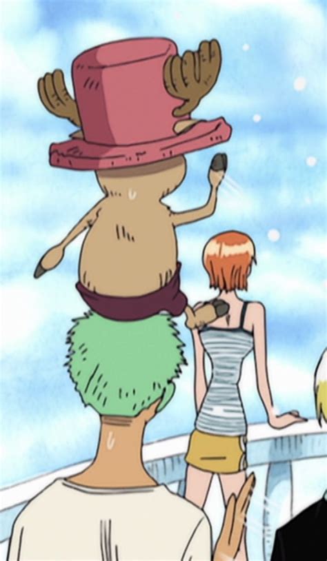 Chopper on Zoro | Manga anime one piece, One piece funny, One piece chopper