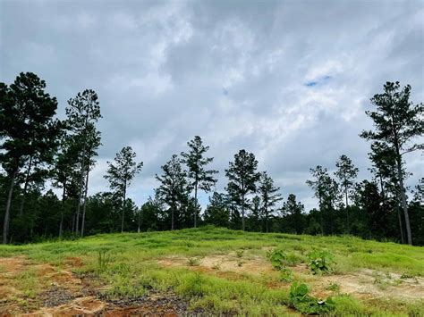 Georgia Land For Sale Tours Available Country Tracts