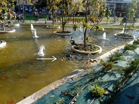 ΛΕΥΤΕΡΙΑ: ΚΑΤΕΡΙΝΗ: Γεννητούρια